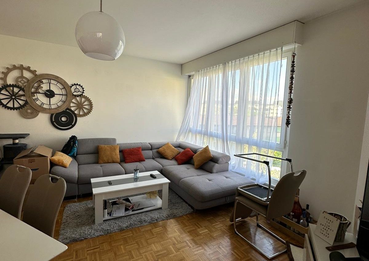 Appartement spacieux à louer – Rue de la Fontenette, Carouge
