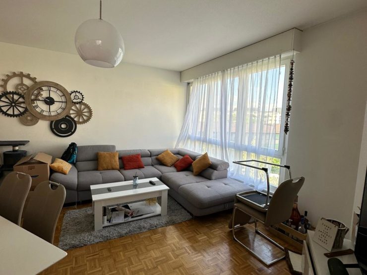Appartement spacieux à louer – Rue de la Fontenette, Carouge