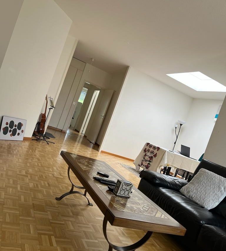 Appartement 4 pièces au Grand-Saconnex